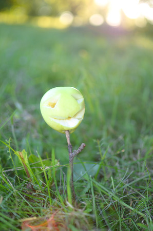 Apple with carved for Halloween scary face impaled on a stickの写真素材