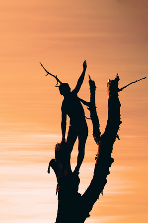silhouette of a man giving signs with his hands from the top of a dry branched tree at sunsetの写真素材