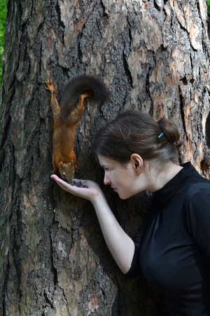 girl feeding a squirrel in the Parkの写真素材
