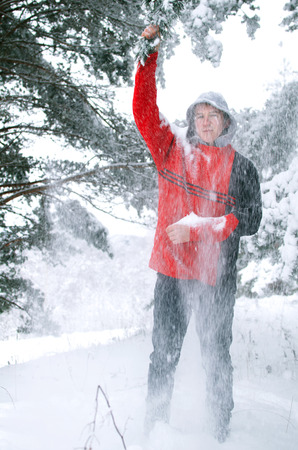 young man in a red sweater showering snow from pine branches in the forestの写真素材