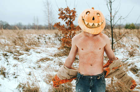 sexy Halloween pumpkin in the fieldの写真素材
