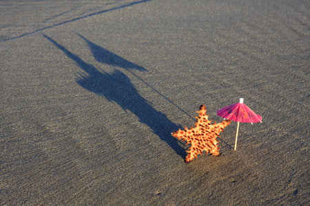 Starfish standing with pink drink umbrella on the beach with long morning shadow and plenty of copy...