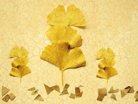 {"total_effects_actions":0,"total_draw_time":0,"layers_used":0,"effects_tried":0,"total_draw_actions":0,"total_editor_actions":{"border":0,"frame":0,"mask":0,"lensflare":0,"clipart":0,"text":0,"square_fit":0,"shape_mask":0,"callout":0},"effects_applied":0の写真素材