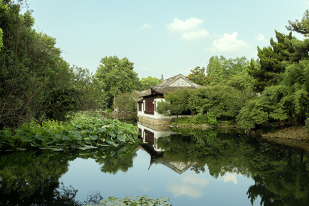 Lotus Pondのeditorial素材