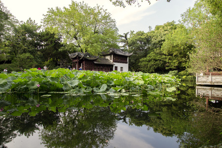 Lotus Pondのeditorial素材