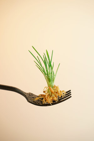 A bunch of greens from germinated seeds with water droplets from dew close-up on a fork on a light...