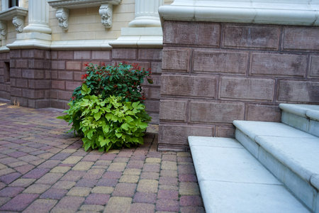 beautiful elements of urban park architecture with exotic plants