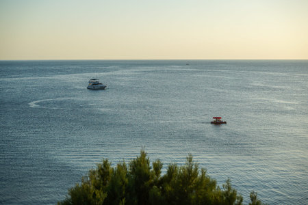 juniper bush, beautiful white motor yacht and red catamaran in the sea at sunset