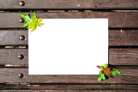 copy space on a wooden bench with rivets and fallen leaves