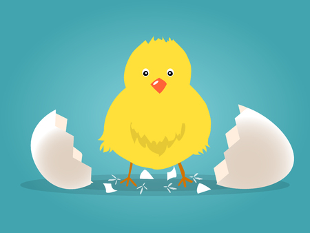 Chick born broken shell egg vectorのイラスト素材