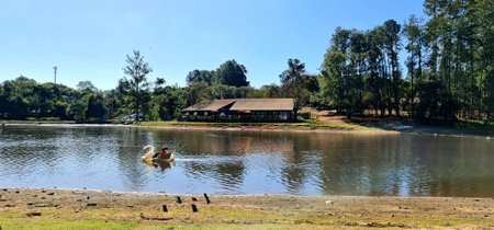 pedal boat ride on the lakeの写真素材