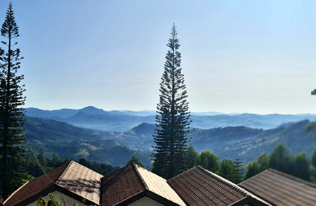 valley and mountainsの写真素材