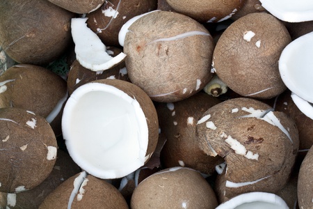 Coconut for making milk の写真素材