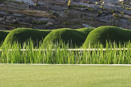 Artificial grassの写真素材