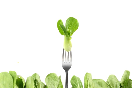 Bok choy  chinese cabbage  isolated on whiteの写真素材