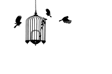 Bird cage symbol on white backgroundの写真素材
