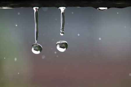 Water drops in rainy day