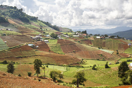 Hmong hill tribe village and terraced vegetable field ,Mae Rim district Chiang Mai province, Thailand.の写真素材