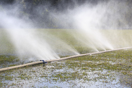 wasting water - water leaking from hole in a hoseの写真素材