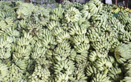 The stack of green banana in Thailandの写真素材
