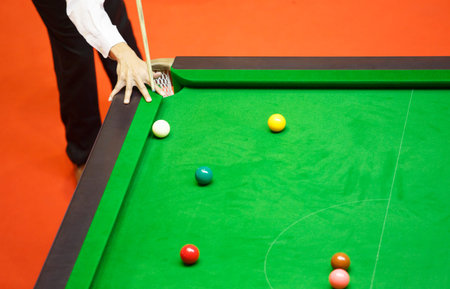 Ball and Snooker Player