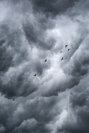Background of storm cloudsの写真素材