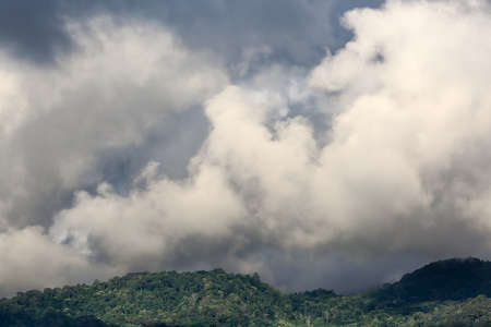Cumulus cloud over tropical forest.の写真素材