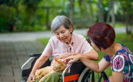 Pet therapy for the Elderly . Pets make patients healtier and happier.の写真素材