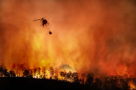 Fire fighting helicopter carry water bucket to extinguish the forest fireの写真素材