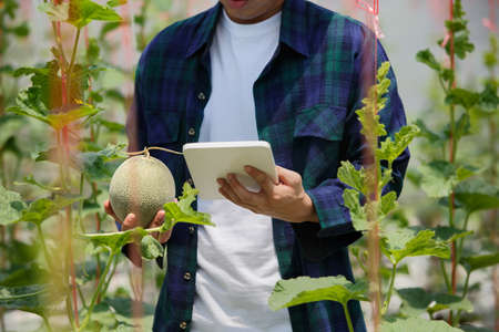 Smart farm, Farmer using tablet computer control agricultural system in greenhouseの写真素材