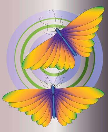 wing orange butterfly の写真素材