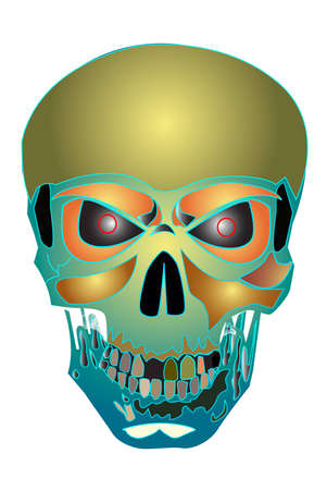 Skull isolated on white  の写真素材