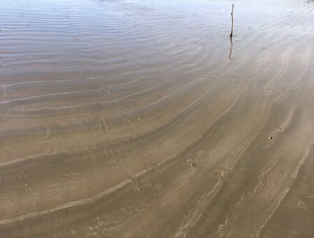 Stick by the beachの素材