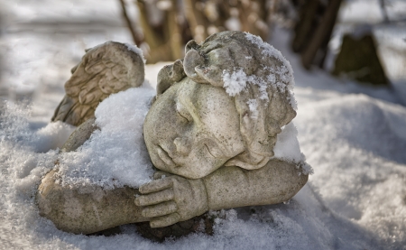 Resting Snow Angels  の写真素材