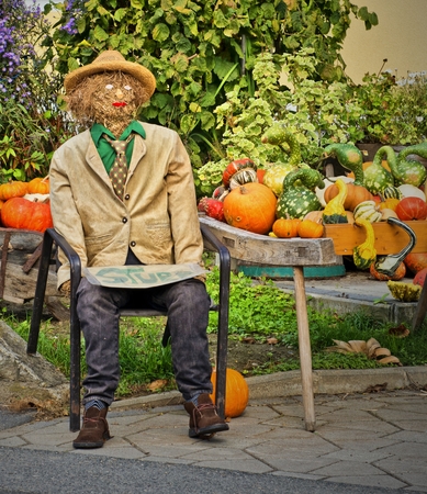 Straw man の写真素材