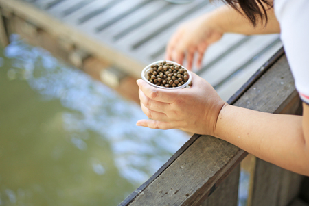 human hand holding a cup of fish food for feeding the fishの写真素材