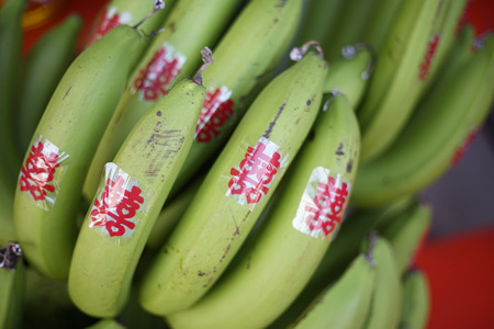 green banana with chinese alphabet use for wedding dayの写真素材