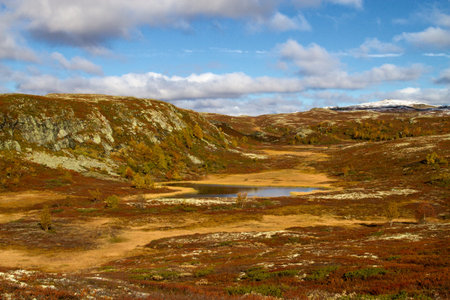 Autumn in the Norwegian high mountain
