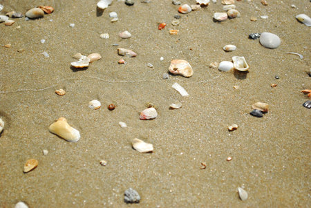 Sand beach