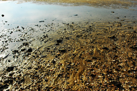 Beach beside mangrove forest, Phetchaburi, Thailandの写真素材