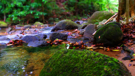 stream of waterfall in the tropical forest., Thailand.