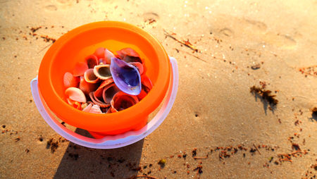 sea shells in a yellow bucket .kids playing beside beach.の写真素材