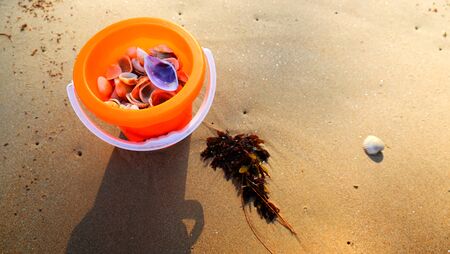 sea shells in a yellow bucket .kids playing beside beach.の写真素材