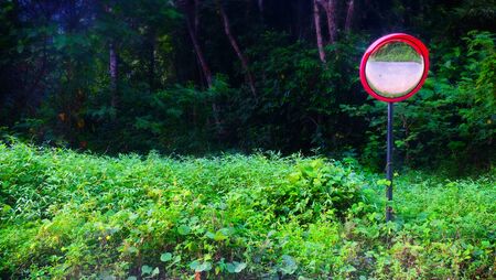 Curved glass sign in forest.の写真素材