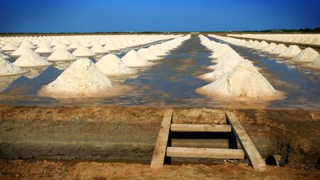 Sea salt fields local farm industry in Thailand.の写真素材