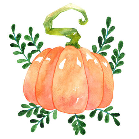 Pumpkin with fern watercolor for decoration on Thanksgiving festival and farmland concept.の写真素材