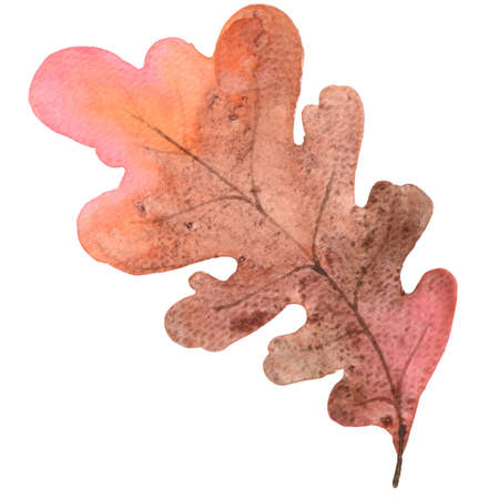 Coorful autumn leaf watercolor illustration for decoration on Autumn season and nature concept.の写真素材