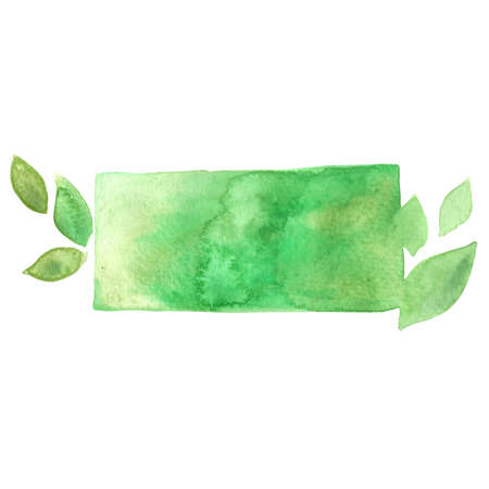 Green leaves with circle banner watercolor illustration for decoration on nature and spring season.の写真素材