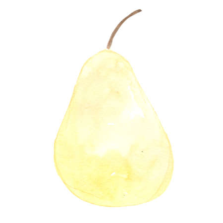 Chinese pear watercolor illustration for decoration on food and agriculture concept.の写真素材