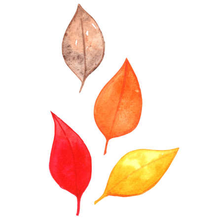 Colorful fall leaves watercolor illustration for decoration on Autumn season and nature concept.の写真素材